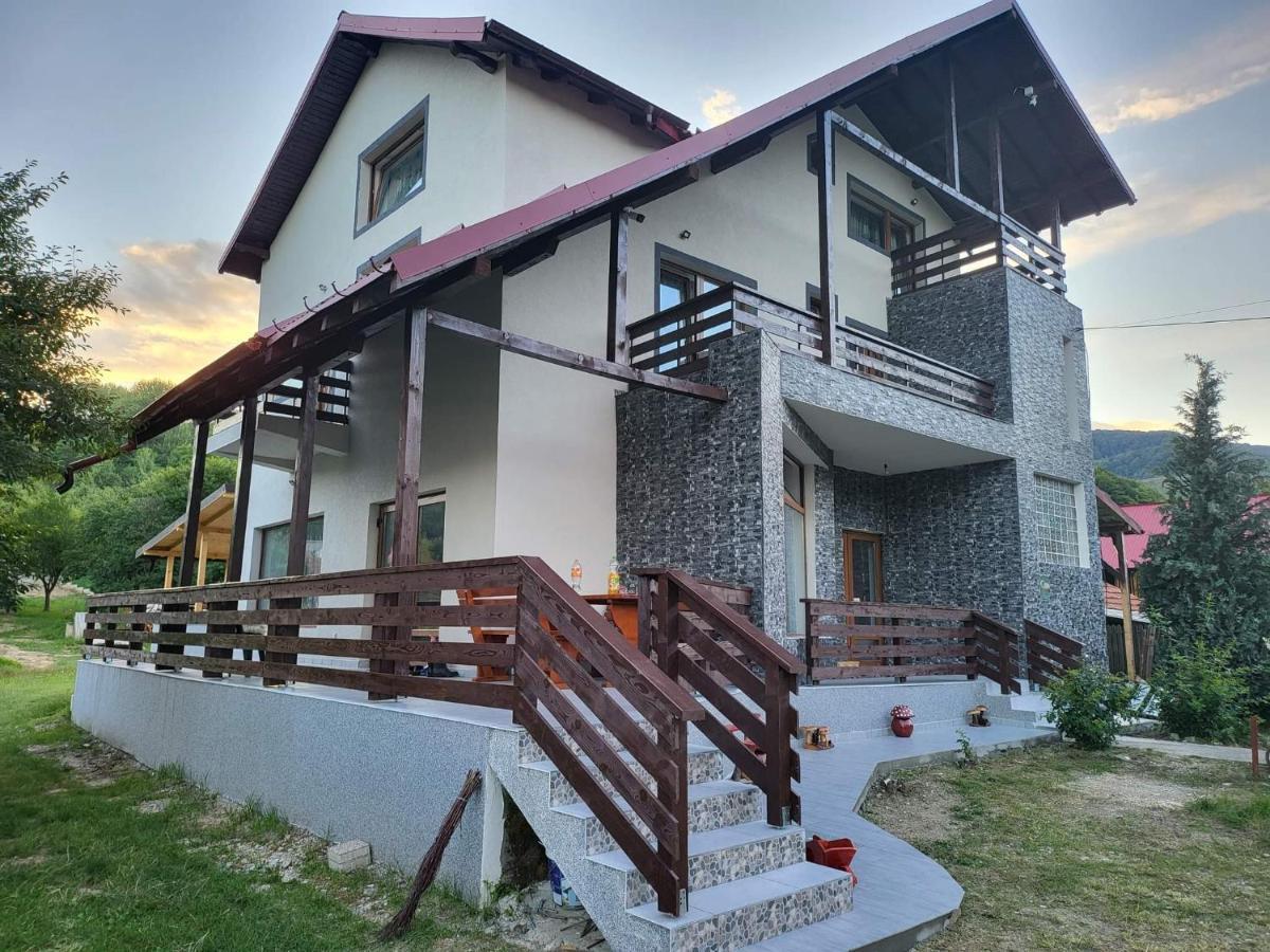Pensiunea Ricky Căpăţîneni-Ungureni Exterior foto